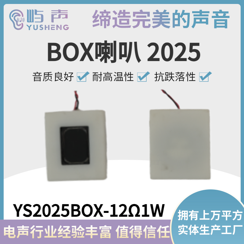 YS2025BOX-12Ω1W
